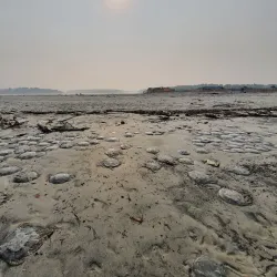 Dublar Char Island - Satkhira