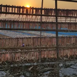 Dublar Char Island - Satkhira