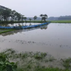 Kaliganj Upazila - Satkhira