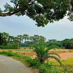 Kaliganj Upazila - Satkhira