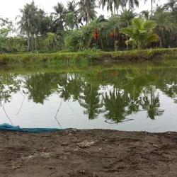 Kaliganj Upazila - Satkhira