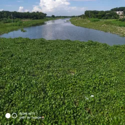Kapotaksha River - Satkhira