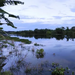 Kapotaksha River - Satkhira