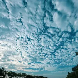 Kapotaksha River - Satkhira