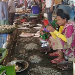 Satkhira Central Market - Satkhira