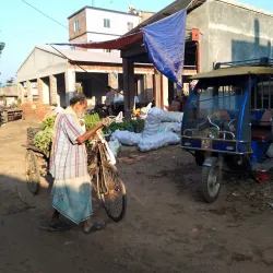Satkhira Central Market - Satkhira