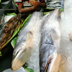 Satkhira Central Market - Satkhira