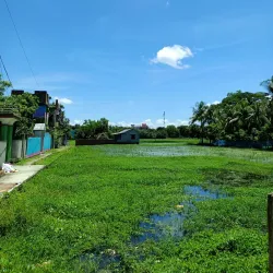 Shyamnagar Upazila - Satkhira