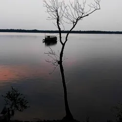 Sundarbans Mangrove Forest - Satkhira