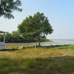Sundarbans Mangrove Forest - Satkhira