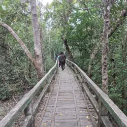 Sundarbans Mangrove Forest - Satkhira