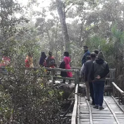 Sundarbans Mangrove Forest - Satkhira