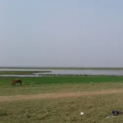 Hakaluki Haor - Sunamganj