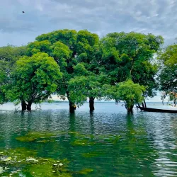 Hakaluki Haor - Sunamganj