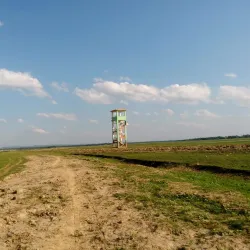 Hakaluki Haor - Sunamganj