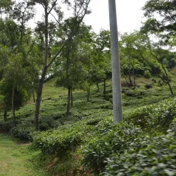Madhabpur Lake - Sunamganj