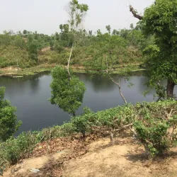 Madhabpur Lake - Sunamganj