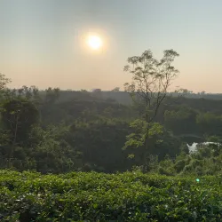 Madhabpur Lake - Sunamganj