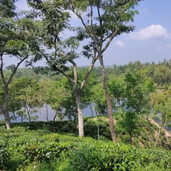 Madhabpur Lake - Sunamganj