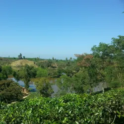 Madhabpur Lake - Sunamganj