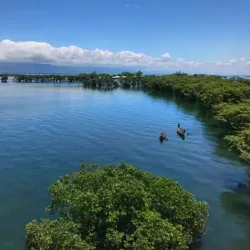 Tanguar Haor - Sunamganj