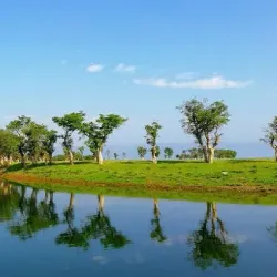 Tanguar Haor - Sunamganj