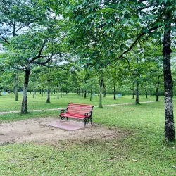 Tanguar Haor - Sunamganj