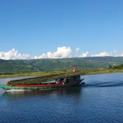 Tanguar Haor - Sunamganj