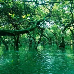 Ratargul Swamp Forest - Sylhet