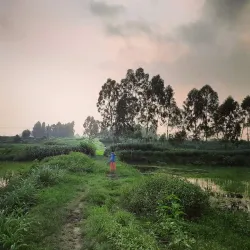 Kalihati Upazila - Tangail