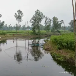 Kalihati Upazila - Tangail