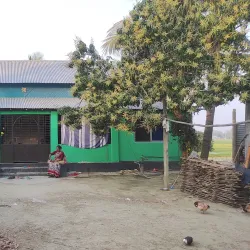 Nagarpur Upazila - Tangail