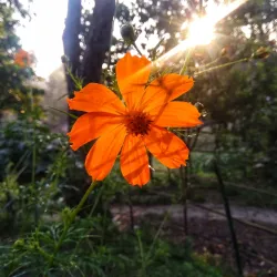 Nagarpur Upazila - Tangail