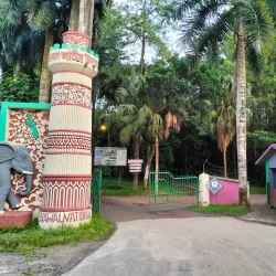 Bhawal National Park - Tongi