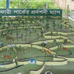 Gazipur Safari Park - Tongi