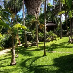 Andromeda Botanic Gardens - Alexandra