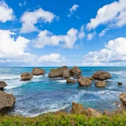 Bathsheba Beach - Alexandra
