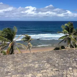 Bathsheba Beach - Alexandra