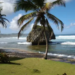 Bathsheba Village - Alexandra