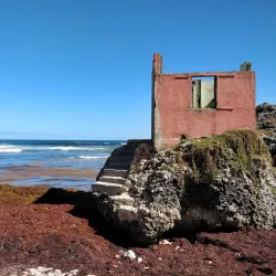 Bathsheba Village - Alexandra