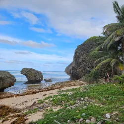 Bathsheba Village - Alexandra