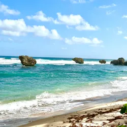 Bathsheba Village - Alexandra