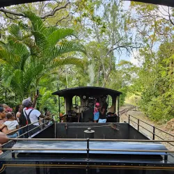 Cherry Tree Hill - Alexandra