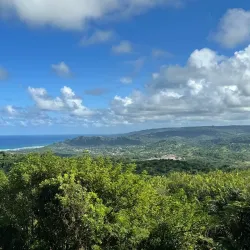 Farley Hill National Park - Alexandra