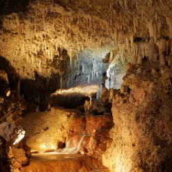 Harrison's Cave - Alexandra