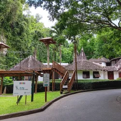 Harrison's Cave - Alexandra