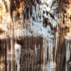 Harrison's Cave - Alexandra