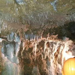 Harrison's Cave - Alexandra