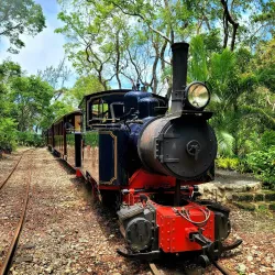 St. Nicholas Abbey - Alexandra