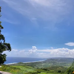 St. Nicholas Abbey - Alexandra